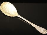 a spoon that is sitting on a table