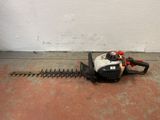 a small hedger that is sitting on the ground
