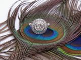 a peacock feather with a diamond ring on it