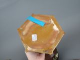 a person holding a brown plate with a blue sticker on it