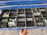 a person holding a blue box filled with lots of screws