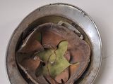 a metal bowl with a leaf in it on a white surface