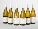 six bouteilles de vin sont alignées sur une surface blanche