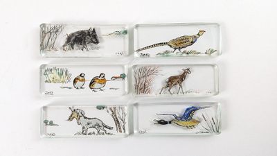 plusieurs plateaux en verre représentant différents animaux, posés sur une surface blanche
