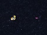 a close up of a single yellow diamond on a black surface