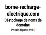 Photo 1/1 du lot