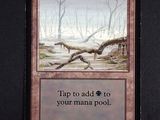 a close up of a card with a picture of a tree in the background