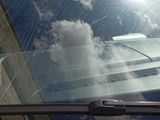 a cat sitting on the windshield of a car looking out the window