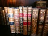 plusieurs vieux livres sont alignés sur une étagère dans une bibliothèque
