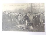 a black and white photo of a group of people standing around a dead animal