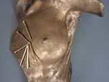 une sculpture en bronze représentant une tête d'ours fixée au mur