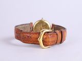 an image of a brown leather watch strap with a gold buckle