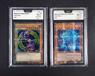 two cards from the pokemon trading card game, one of which is in a plastic case