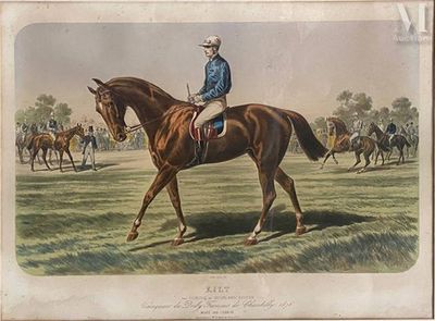 un homme à cheval dans un champ, entouré d'autres chevaux