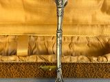 a silver spoon sitting in a case on a table