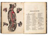 an open book with a diagram of the human body and blood vessels