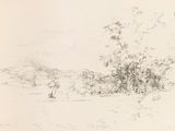 dessin représentant un paysage avec un arbre et une personne au loin