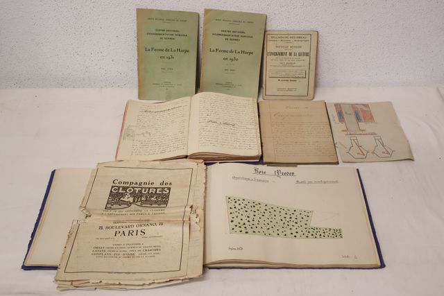 HERBIER : Coffre en bois contenant sous classeur in folio : -Plan...