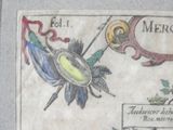 Photo 7/7 du lot