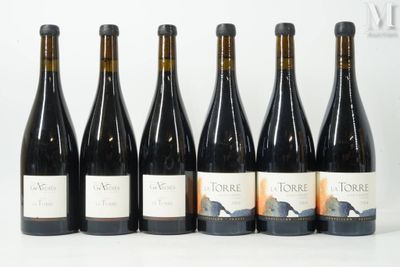 six bouteilles de vin sont alignées sur une surface blanche