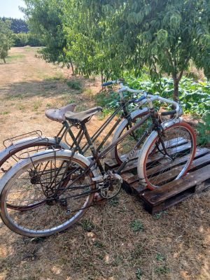 two bicycles that are parked next to each other in a field