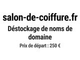 Photo 1/1 du lot