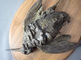 a statue of a bird that is on a wooden plate