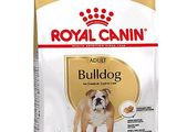 Royal Canin Bulldog Adult : croquettes pour chiens adultes de race Bulldog