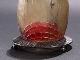 Photo 3/4 du lot