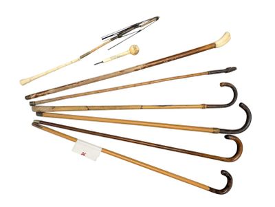 many different types of canes on a white background