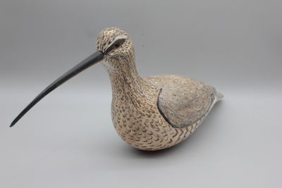 un petit oiseau au long bec posé sur une surface blanche