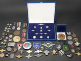 an assortment of military pins and medals in a blue case