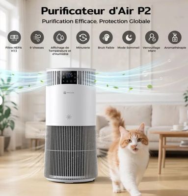 un chat debout devant un purificateur d'air, sur un parquet