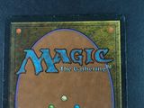 the back cover of a magic the gathering card game