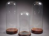 three glass cloches with wooden bases on a white surface
