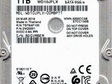 western digital 1tb wd black hard drive