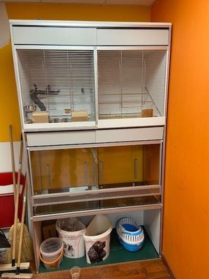 an image of a bird cage in the corner of a room