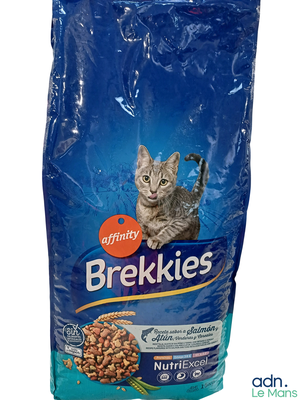 un sac de croquettes pour chat dans lequel se trouve un chaton