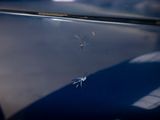 a bug that is sitting on the hood of a car