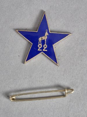 une image représentant un pin's orné d'une étoile bleue et d'une épingle dorée