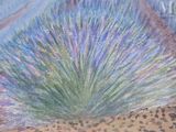 painting of a desert scene with a cactus plant in the foreground and a desert landscape in the background