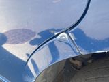 a cat that is sitting on the side of a car