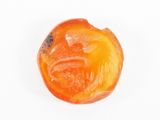 fruit d'orange séché posé sur une surface blanche, sur fond blanc