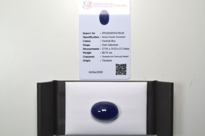 une photo d'une pierre bleue posée sur un distributeur de papier essuie-tout