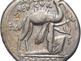 gros plan d'une pièce de monnaie sur laquelle figure un cheval