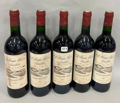 six bouteilles de vin sont alignées sur une table