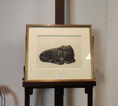 une photo d'une photo d'un chat allongé sur une table