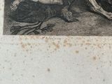 a drawing of a dog laying down on the ground