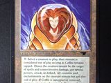 a picture of a card with a picture of a lion on it