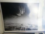 Photo 32/44 du lot